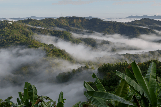 9 Taman Negara Yang Anda Perlu Lawat Di Sabah