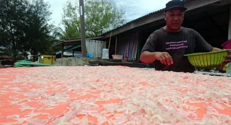 Ini 5 Fakta Menarik Tentang Udang Geragau Atau Bubuk Sarawak Yang Anda