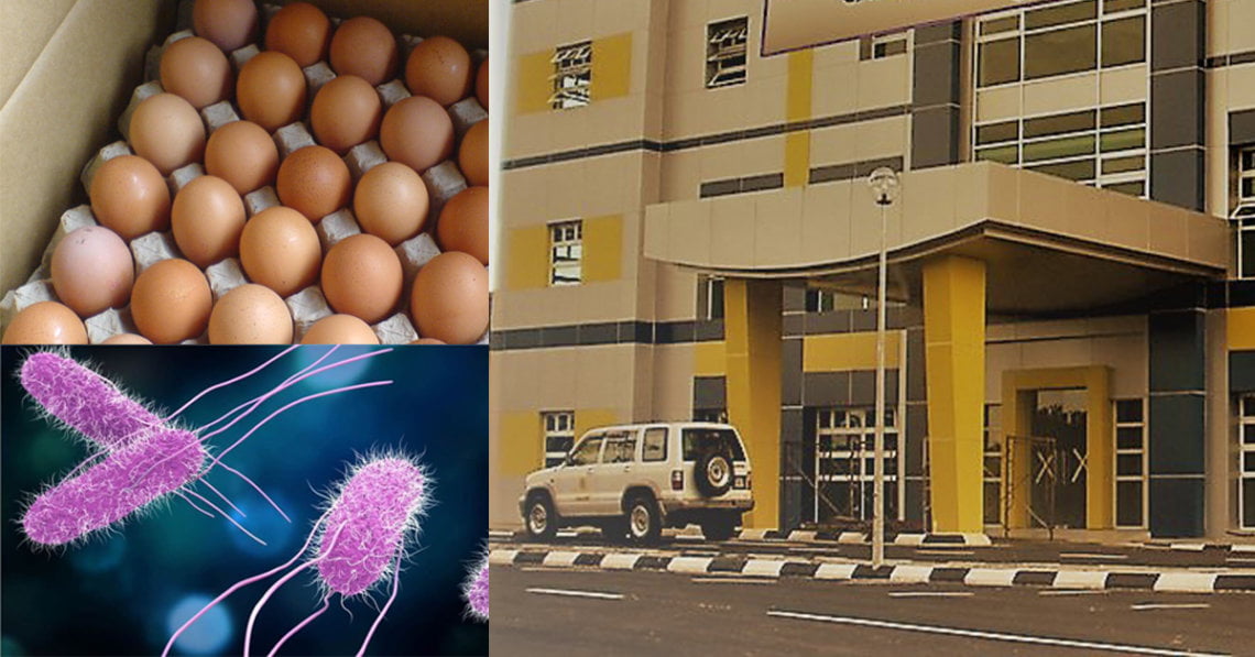 Tiada Salmonella Dikesan Telur Ayam Di Pasaran Sarawak Dijamin Selamat Dimakan