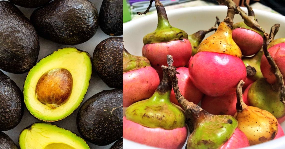 Digelar Avocado Versi Malaysia, Kenali Buah Engkalak Yang Hanya 