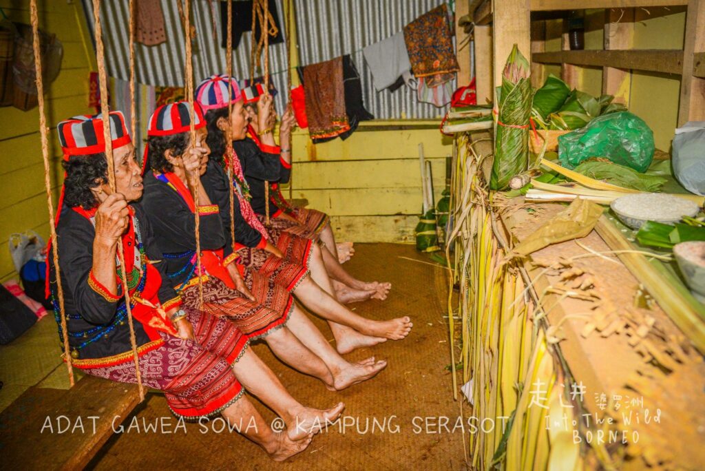 Sangat Dihormati Dalam Masyarakat Bidayuh, Ketahui Apakah Peranan ...