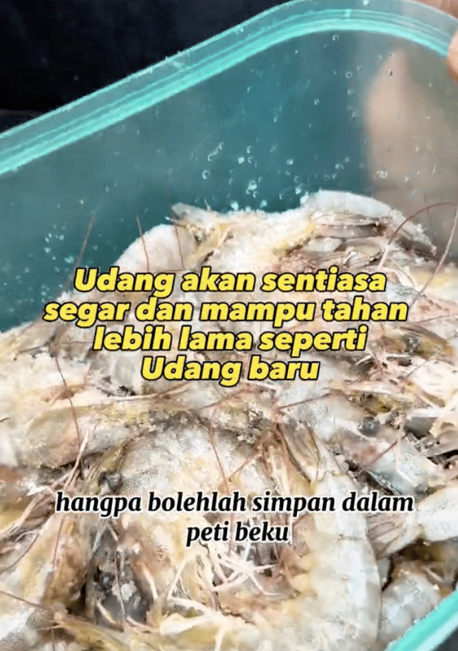 Boleh Tahan Lama Individu Kongsi Cara Simpan Udang Supaya Kekal Segar